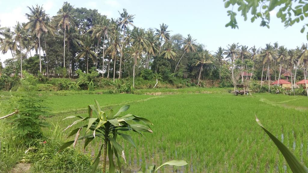 Pondok Tulasi Semaya House Payangan Esterno foto